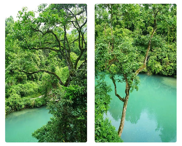 多彩貴州，魅力天下，2021年廣東博皓快樂貴州行-29