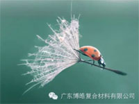 【博皓感悟】成功，要“借力”，不要“盡力”